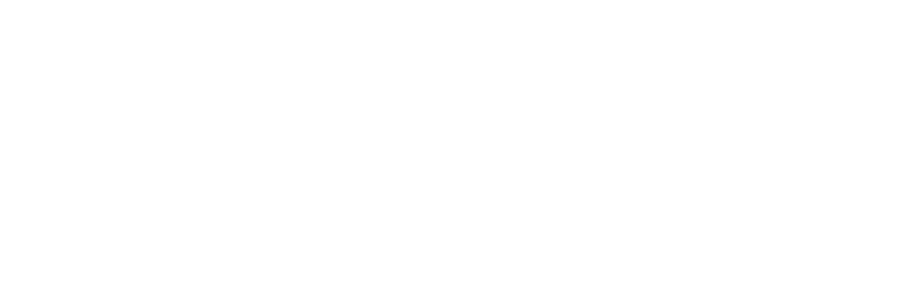N63SALTY